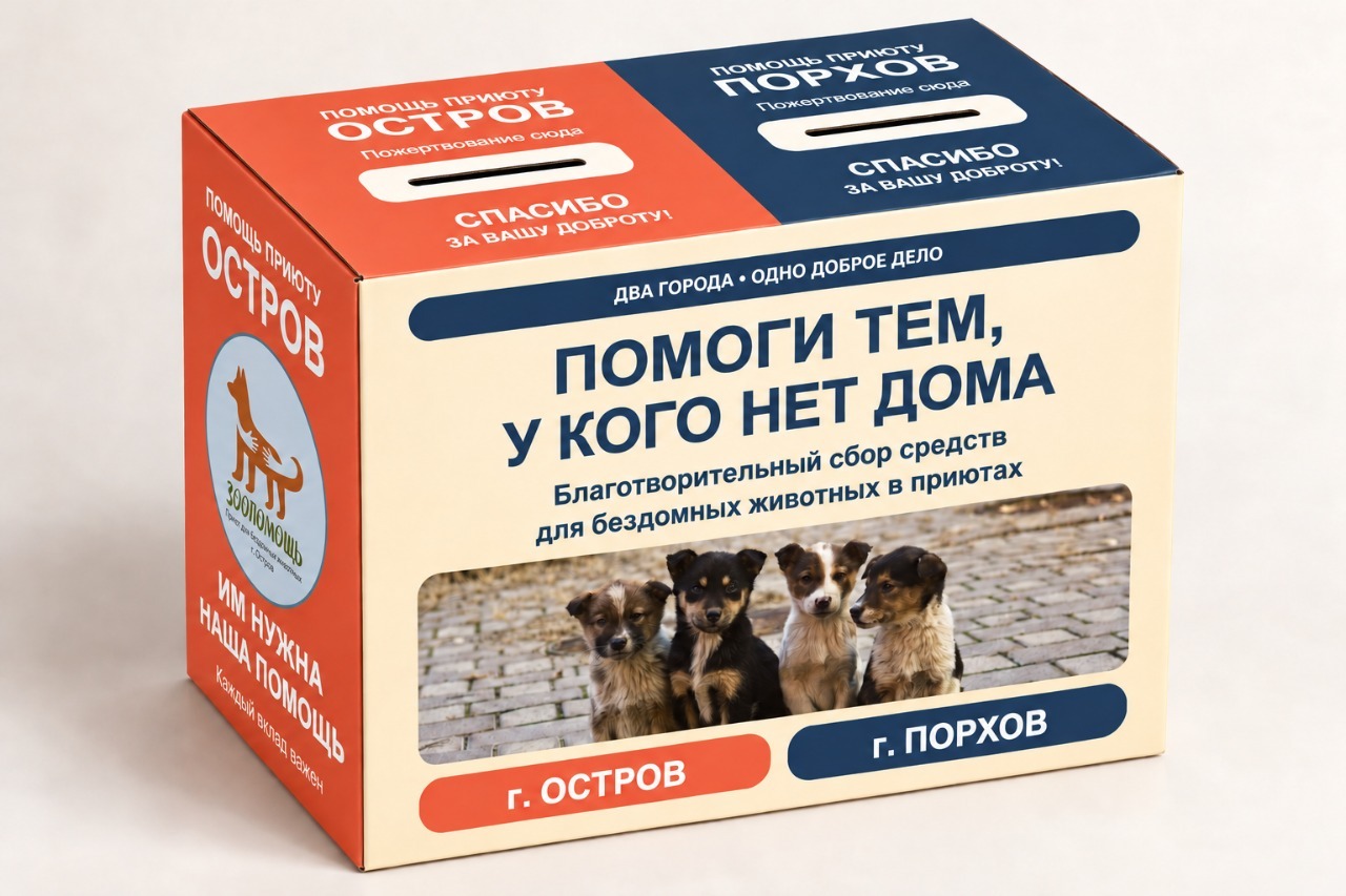 Коробка для сбора пожертвований с надписью «Помоги тем, у кого нет дома»: два города — Остров и Порхов, фото щенков и логотип «Зоопомощь»